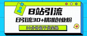 B站引流日引流30+精准创业粉，超详细B站引流创业粉玩法【揭秘】-沐风资源库