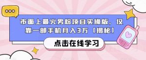 市面上最火男粉项目实操版，仅靠一部手机月入3万【揭秘】-沐风资源库