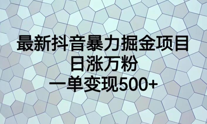 最新抖音暴力掘金项目，日涨万粉，一单变现500+【揭秘】-沐风资源库