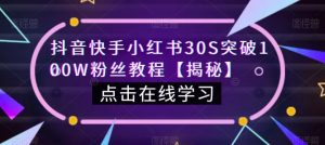 抖音快手小红书30S突破100W粉丝教程【揭秘】-沐风资源库