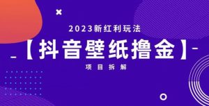 抖音壁纸小程序创作者撸金项目，2023新红利玩法【项目拆解】-沐风资源库