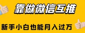 靠做微信互推，新手小白也能月入过万【揭秘】-沐风资源库