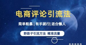 简单粗暴野路子引流-电商平台评论引流大法，适合懒人有手就行【揭秘】-沐风资源库