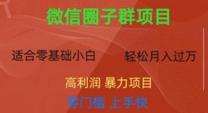 微信资源圈子群项目，零门槛，易上手，一个群1元，一天轻轻松松300+【揭秘】-沐风资源库
