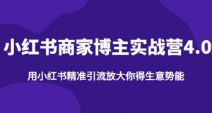 【推荐】小红书商家博主精准引流实战营4.0，用小红书放大你的生意势能-沐风资源库