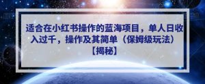 适合在小红书操作的蓝海项目，单人日收入过千，操作及其简单（保姆级玩法）【揭秘】-沐风资源库
