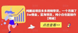 纯搬运项目多多视频带货，一个月搞了5w佣金，蓝海项目，纯小白也能操作【揭秘】-沐风资源库
