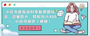 小红书虚拟资料全新思路玩法，流量巨大，轻松日入300+，小白可操作【揭秘】-沐风资源库