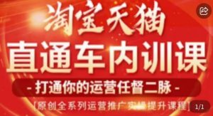 天问电商·2023淘宝天猫直通车内训课，零基础学起直通车运营实操课程-沐风资源库