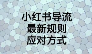 小红书导流最新规则应对方式【揭秘】-沐风资源库