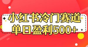 小红书冷门赛道，单日盈利500+【揭秘】-沐风资源库