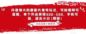 抖音爆火的最新头像号玩法，可短视频可直播，单个作品变现300-500，手机可做，适合小白【揭秘】-沐风资源库
