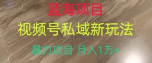 蓝海项目，视频号私域新玩法，暴力项目月入1万+【揭秘】-沐风资源库