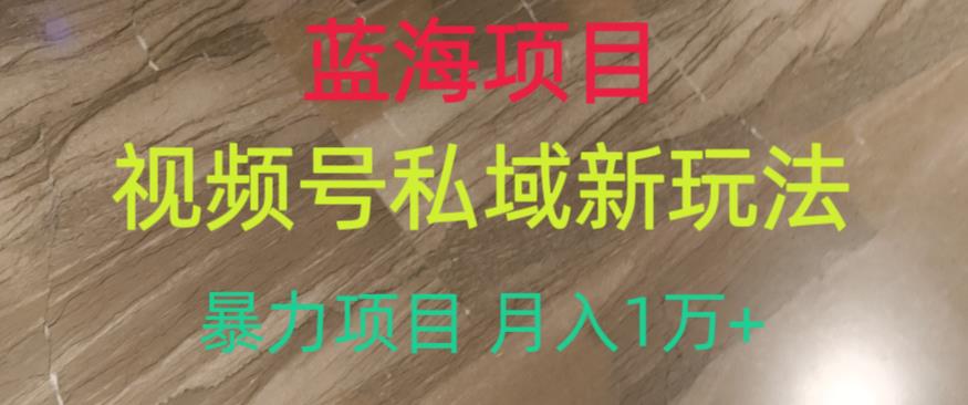 蓝海项目，视频号私域新玩法，暴力项目月入1万+【揭秘】-沐风资源库