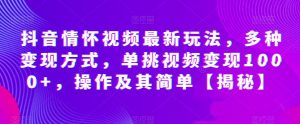 抖音情怀视频最新玩法，多种变现方式，单挑视频变现1000+，操作及其简单【揭秘】-沐风资源库