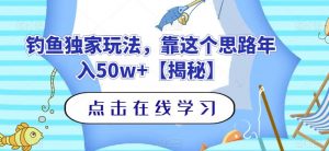 钓鱼独家玩法，靠这个思路年入50w+【揭秘】-沐风资源库