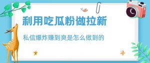 利用吃瓜粉做拉新，私信爆炸日入1000+赚到爽是怎么做到的【揭秘】-沐风资源库