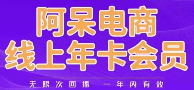 阿呆电商线上年会员，阿呆电商干货分享（更新中）-沐风资源库