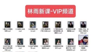 林雨新课VIP频道，玩赚私域/朋友圈/社群-沐风资源库
