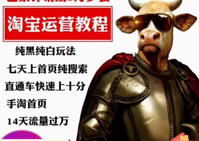 猫老师·淘系算法逆向解密，​纯黑纯白玩法，七天上首页纯搜索，手淘首页14天流量过万-沐风资源库