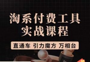 猫老师·淘系付费工具实战课程，直通车/引力魔方/万相台-沐风资源库