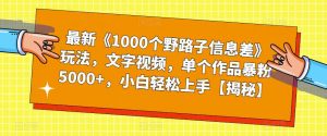 最新《1000个野路子信息差》玩法，文字视频，单个作品暴粉5000+，小白轻松上手【揭秘】-沐风资源库
