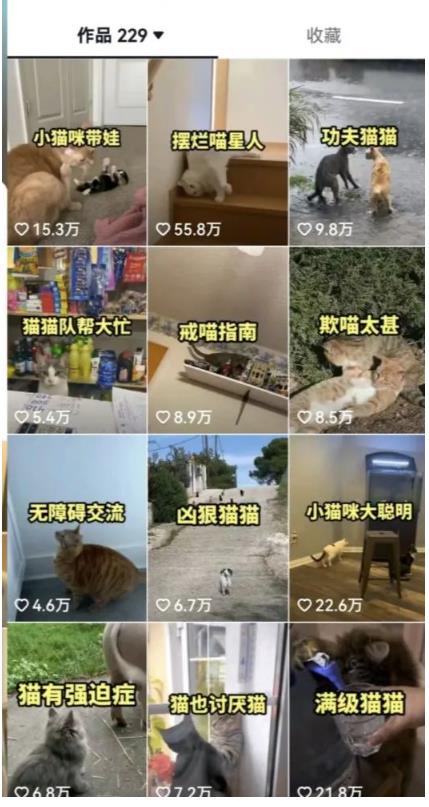 拆解：抖音盘点类中视频变现副业项目，视频版一条龙大解析分享给你-沐风资源库