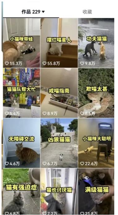 拆解抖音盘点类中视频变现副业项目，视频版一条龙大解析分享给你【视频课程】-沐风资源库