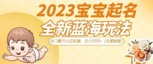 抖音美女图文+音乐推广5.0版本，单日单号500+，0本0粉可矩阵，五分钟一个视频【揭秘】-沐风资源库
