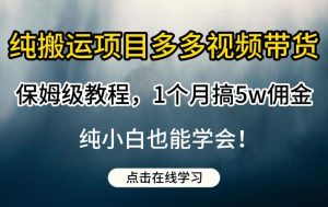 纯搬运项目多多视频带货保姆级教程，1个月搞5w佣金，纯小白也能学会【揭秘】-沐风资源库