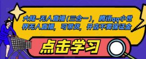 大陆-无人直播(三合一)，腾讯qq小世界无人直播，可带货，开店不要保证金-沐风资源库