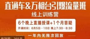 直通车&万相台引爆流量班，6天打通你开直通车·万相台的任督二脉-沐风资源库