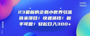 23最新的企鹅小世界引流搞米项目！快速搞钱！新手可做！轻松日入300+【揭秘】-沐风资源库