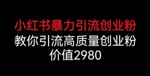 小红书暴力引流创业粉，教你引流高质量创业粉，价值2980【揭秘】-沐风资源库