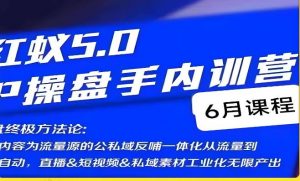 红蚁5.0IP操盘手内训营,IP操盘终极方法论-沐风资源库