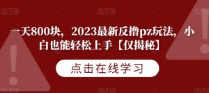 一天800块，2023最新反撸pz玩法，小白也能轻松上手【仅揭秘】-沐风资源库