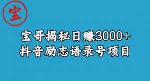 宝哥揭秘日赚3000+抖音励志语录号短视频变现项目-沐风资源库