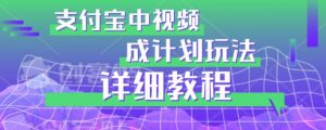 避坑玩法：支付宝中视频分成计划玩法实操详解【揭秘】-沐风资源库