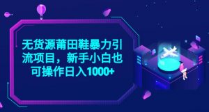 2023无货源莆田鞋暴力引流项目，新手小白也可实操日入1000+【揭秘】-沐风资源库
