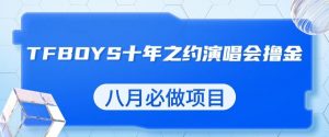 最新蓝海项目，靠最近非常火的TFBOYS十年之约演唱会流量掘金，八月必做的项目【揭秘】-沐风资源库