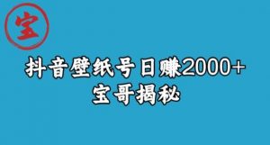 宝哥抖音壁纸号日赚2000+，不需要真人露脸就能操作【揭秘】-沐风资源库