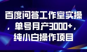 百度问答工作室实操，单号月产3000+，纯小白操作项目【揭秘】-沐风资源库
