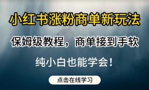 小红书涨粉商单新玩法，保姆级教程，商单接到手软，纯小白也能学会【揭秘】-沐风资源库