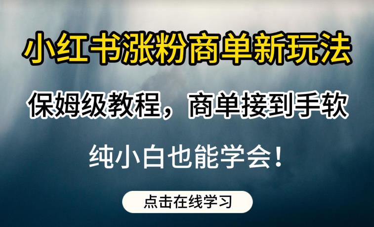 小红书涨粉商单新玩法，保姆级教程，商单接到手软，纯小白也能学会【揭秘】-沐风资源库
