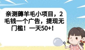 亲测薅羊毛小项目，2毛钱一个广告，提现无门槛！一天50+【揭秘】-沐风资源库