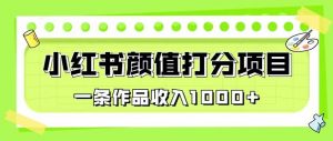 最新蓝海项目，小红书颜值打分项目，一条作品收入1000+【揭秘】-沐风资源库