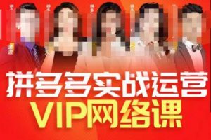 推易拼多多VIP全套直播课程，拼多多店铺实操玩法+实战玩法选款内功+直通车高阶等-沐风资源库