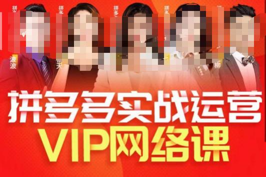 推易拼多多VIP全套直播课程，拼多多店铺实操玩法+实战玩法选款内功+直通车高阶等-沐风资源库