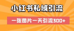 小红书私域引流,一张图片一天引流300+【揭秘】-沐风资源库