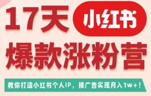 17天小红书爆款涨粉营（广告变现方向），教你打造小红书博主IP、接广告变现的-沐风资源库